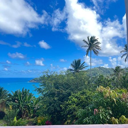 Отель Happy Nest Dominica Мариго Экстерьер фото