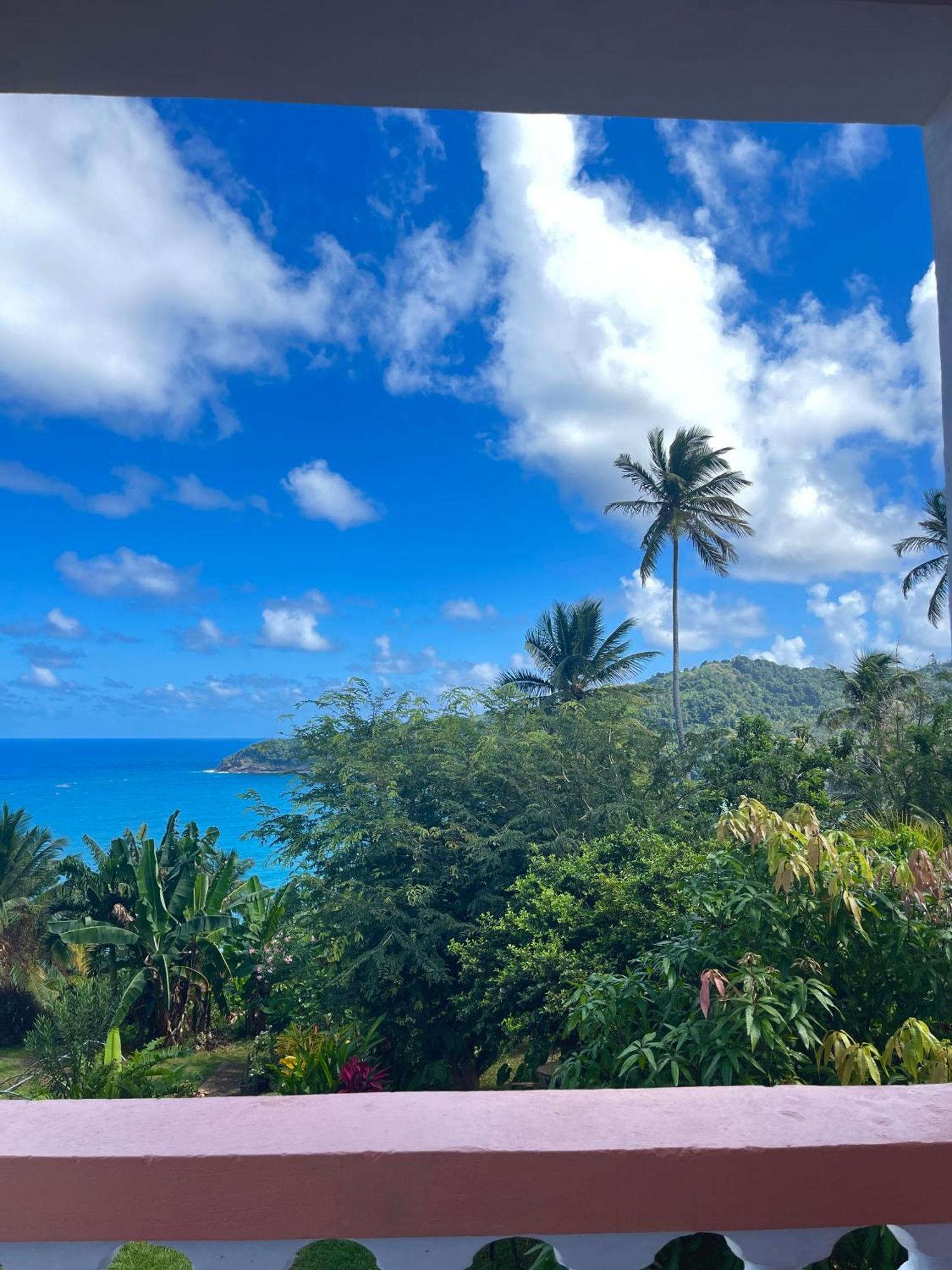 Отель Happy Nest Dominica Мариго Экстерьер фото