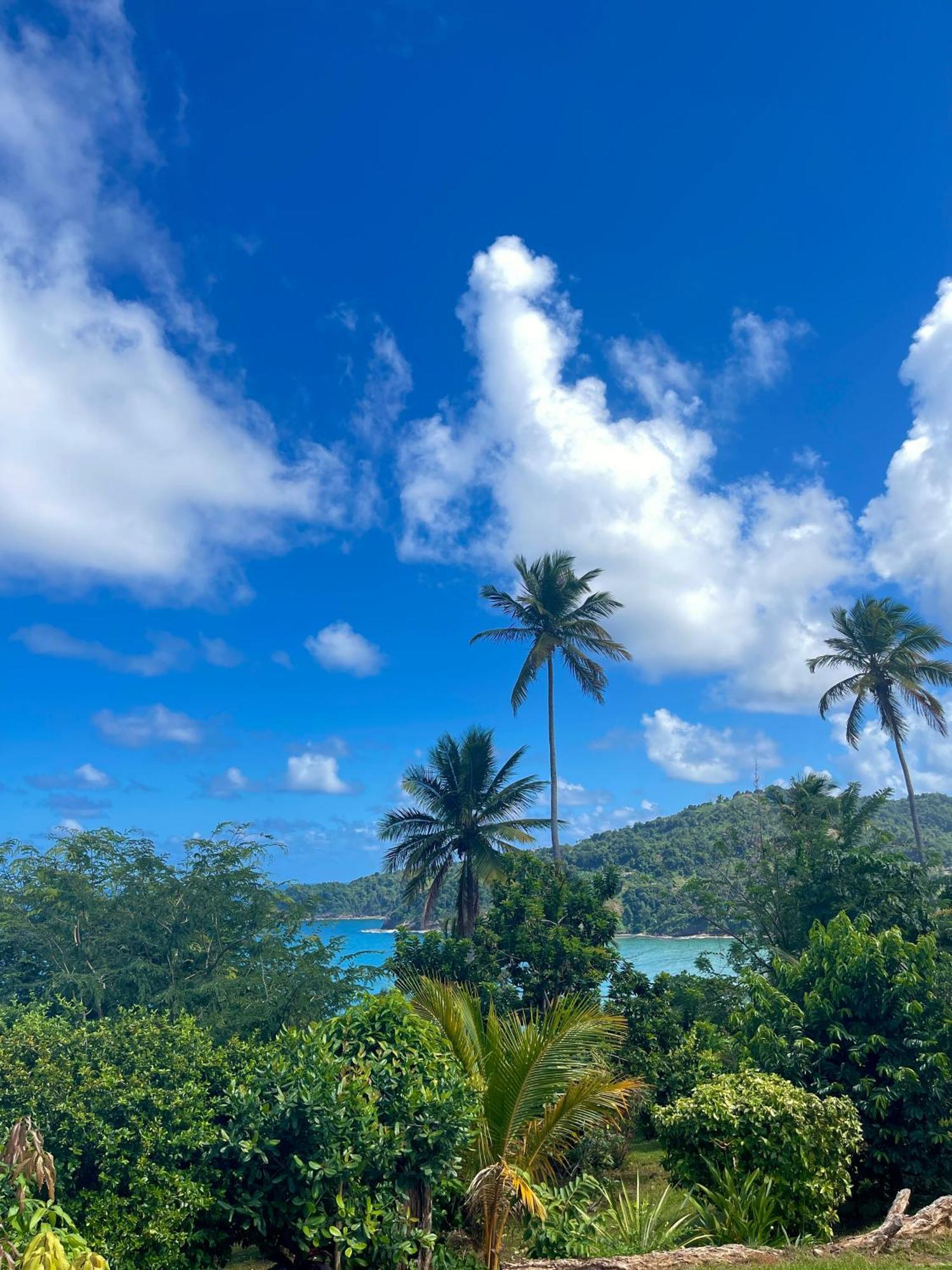 Отель Happy Nest Dominica Мариго Экстерьер фото